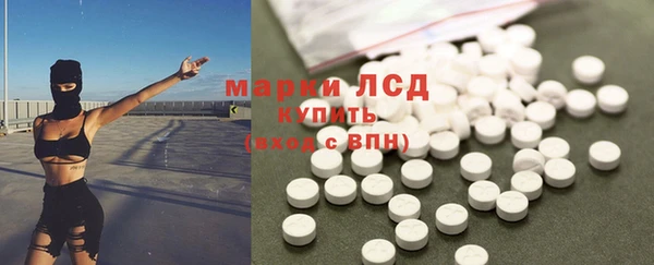 spice Каменка