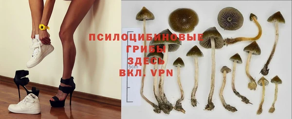 гидропоника Абаза