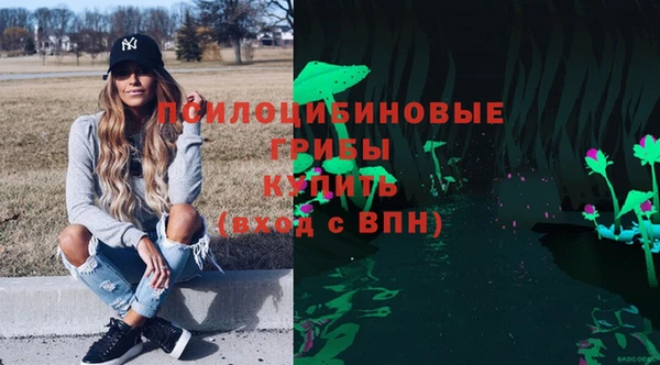 PSILOCYBIN Абдулино