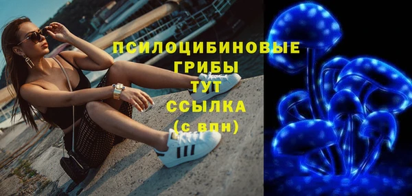 spice Алексин