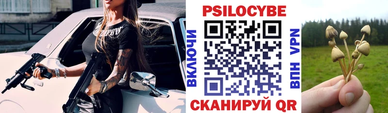 Галлюциногенные грибы Psilocybe  Когалым 